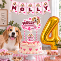 Set Cumpleaños Mascota Beagle Decoración Personalizada Perro Hembra
