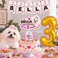 Set Cumpleaños Mascota Maltes Decoración Personalizada Perro Hembra