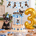Set Cumpleaños Mascota Chihuahua Decoración Personalizada Perro Macho