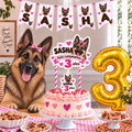 Set Cumpleaños Mascota Pastor Aleman Decoración Personalizada Perro Hembra