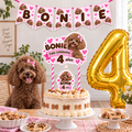 Set Cumpleaños Mascota Poodle Decoración Personalizada Perro Hembra