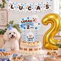 Set Cumpleaños Mascota Poodle Decoración Personalizada Perro Macho