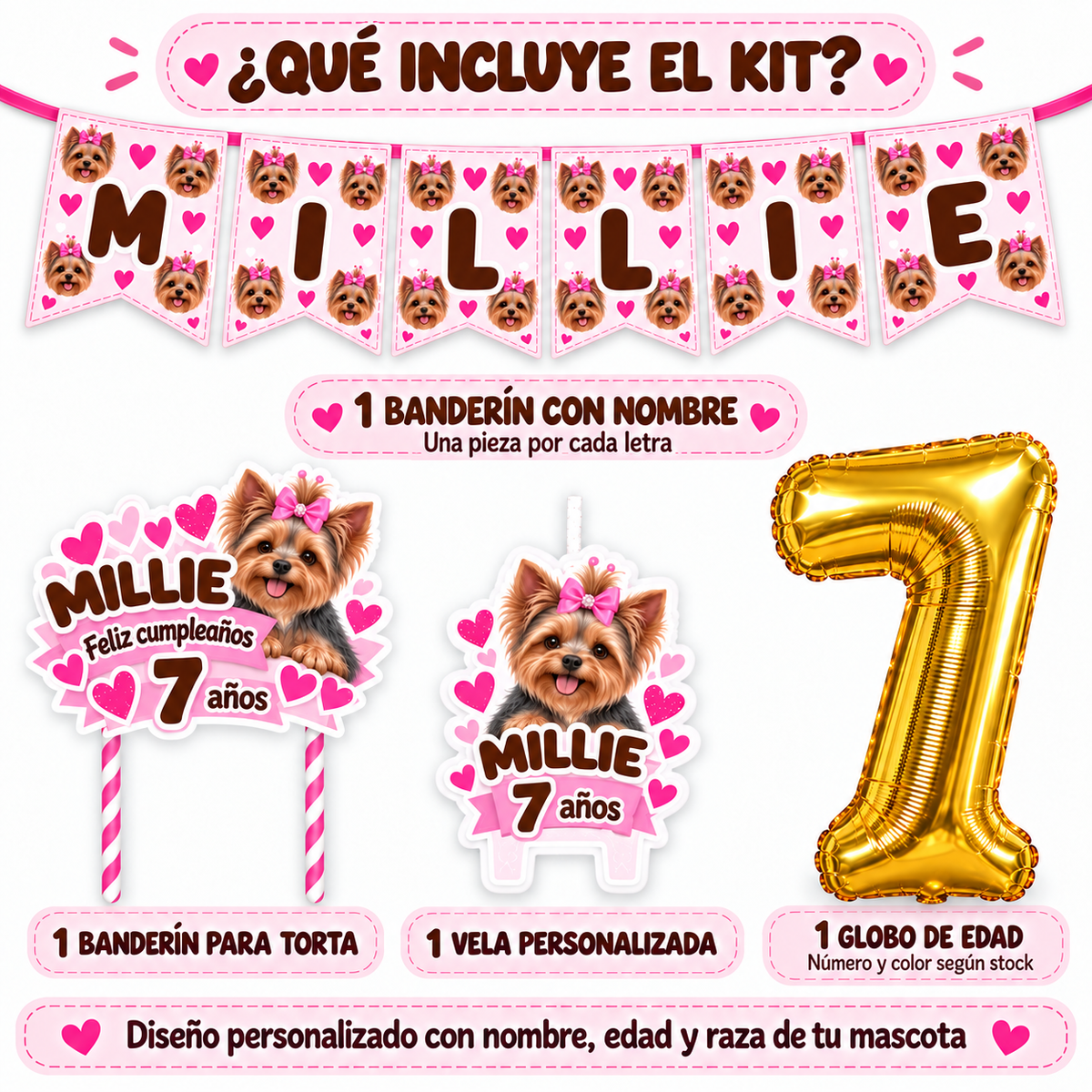 Set Cumpleaños Mascota Beagle Decoración Personalizada Perro Hembra