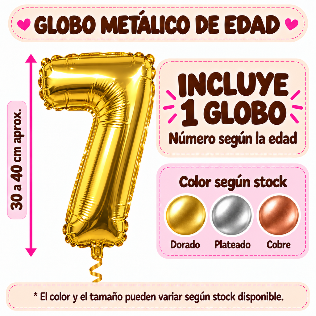 Set Cumpleaños Mascota Poodle Decoración Personalizada Perro Hembra