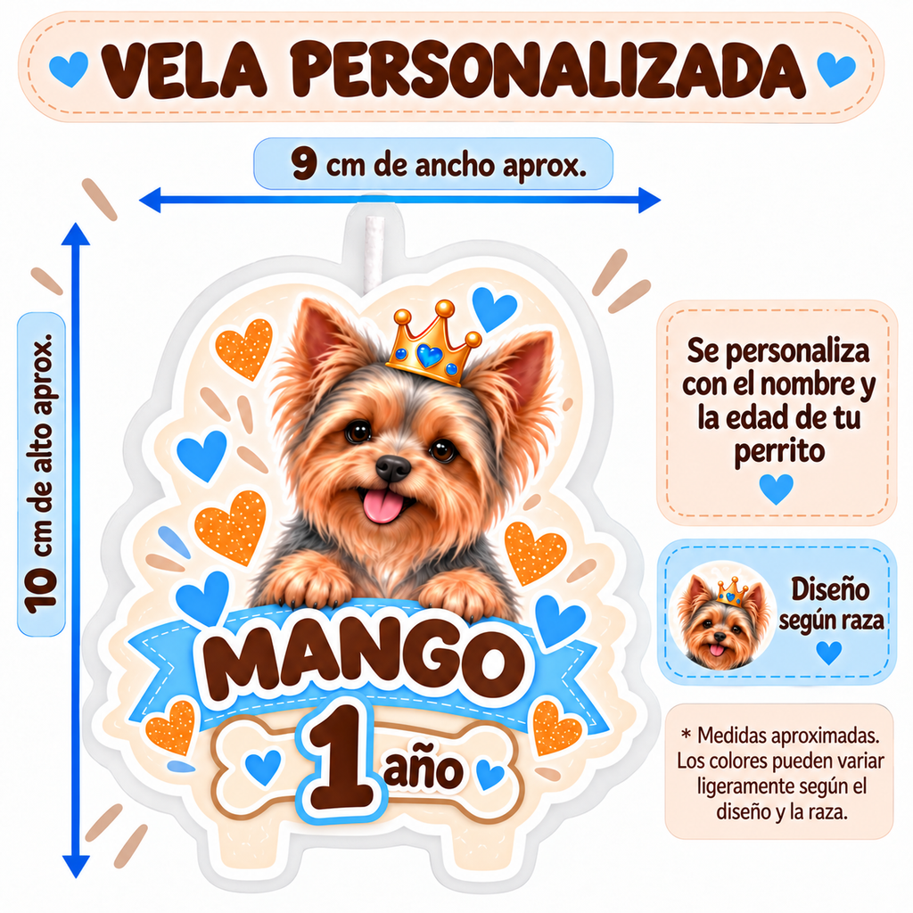 Set Cumpleaños Mascota Golden Decoración Personalizada Perro Macho